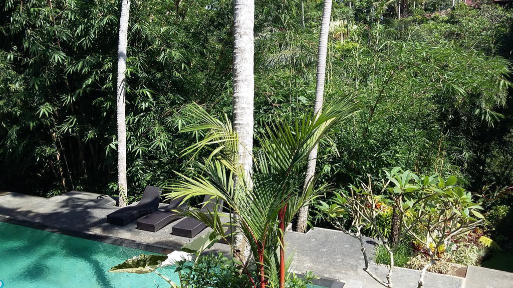 The Bali Shanti أوبود المظهر الخارجي الصورة